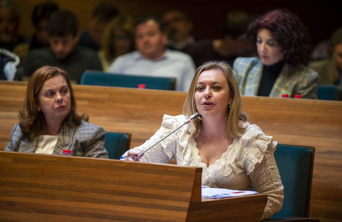 Natàlia Enguix pleno Diputació de València febrero 2024